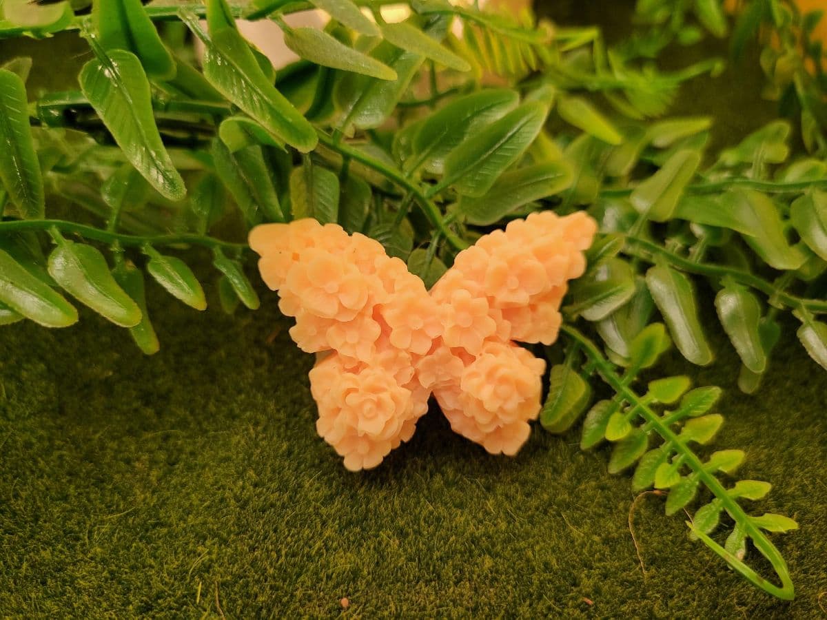 Fondant Papillon